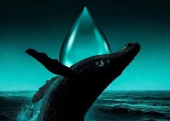 Hyperliquid trader goes all in on oil and gets liquidated in under 40 minutes