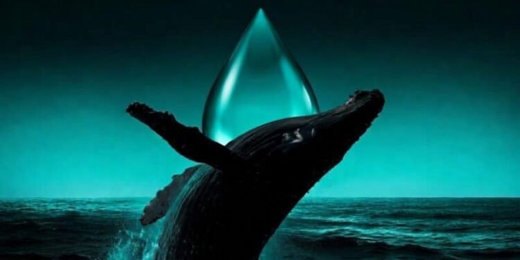 Hyperliquid trader goes all in on oil and gets liquidated in under 40 minutes