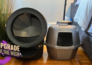 I Switched to Self-Cleaning Litter Boxes in My Home, and I Wish I'd Done It Sooner