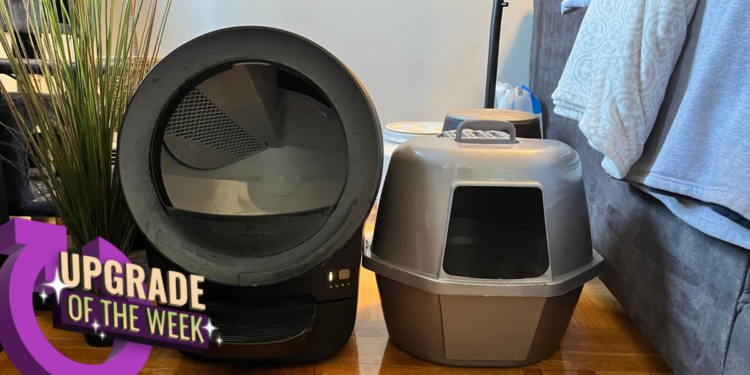 I Switched to Self-Cleaning Litter Boxes in My Home, and I Wish I'd Done It Sooner