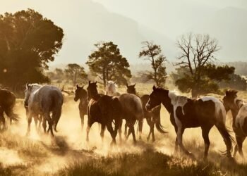 If You Love Horses, These Dreamy Equestrian Escapes Belong on Your Bucket List