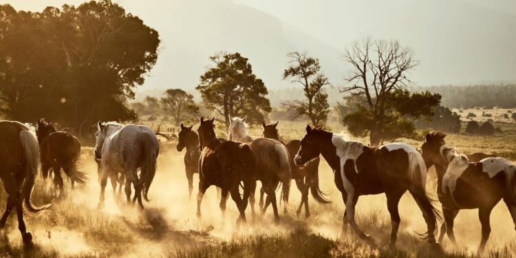 If You Love Horses, These Dreamy Equestrian Escapes Belong on Your Bucket List