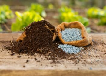 It’s time to sell this fertilizer stock that’s been the S&P 500’s top gainer, analyst says