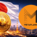 Metaplanet Bets On Japan’s Bitcoin Boom With ¥4 Billion Infrastructure Push