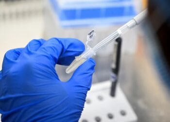 Pfizer and French partner to seek approval for Lyme disease vaccine after late-stage trial