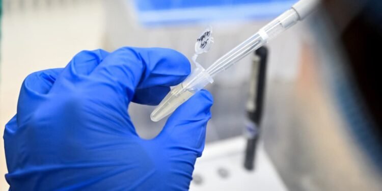 Pfizer and French partner to seek approval for Lyme disease vaccine after late-stage trial