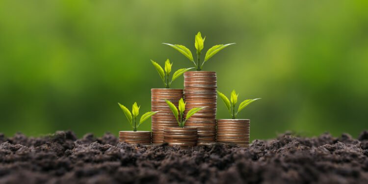 Global investors double down on private credit and infra