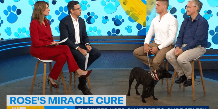 Rose the dog might have just heralded the age of programmable medicine — and here are the stocks that benefit