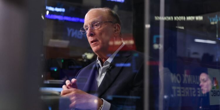 Social Security doesn't let Americans 'build wealth': BlackRock's Fink