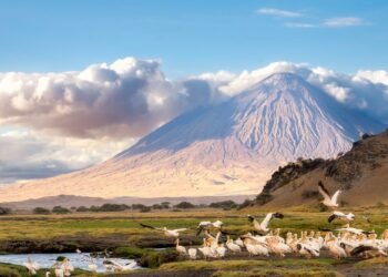 The 28 Most Beautiful Countries in the World, From Argentina to Tanzania