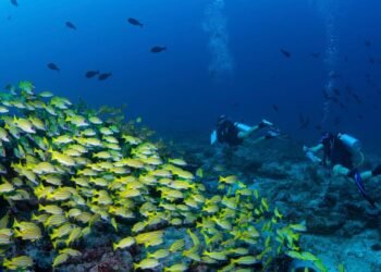 Condé Nast Traveler