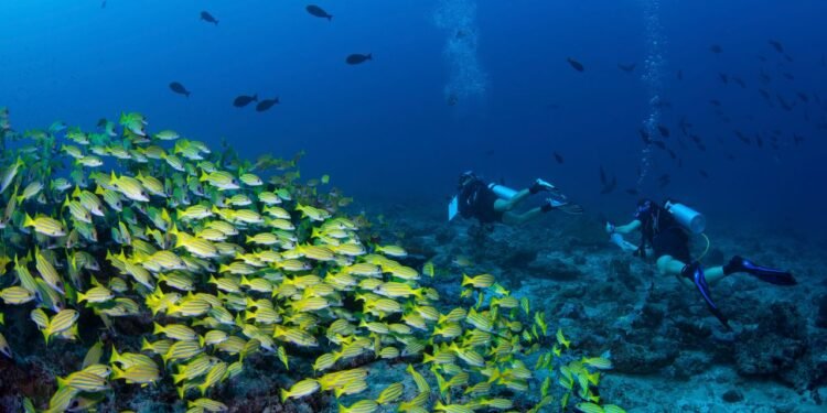 Condé Nast Traveler