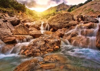 Think Like a Free Agent