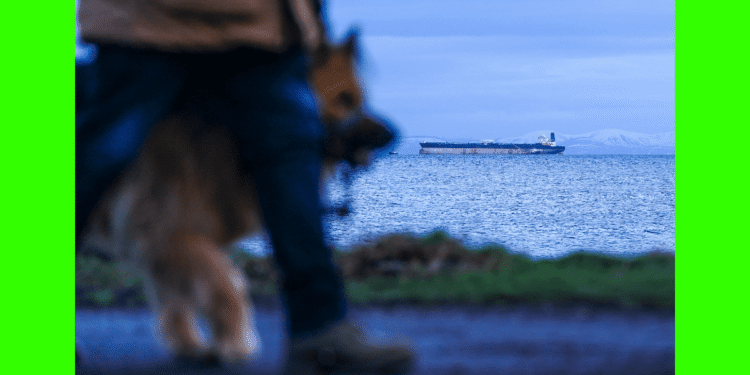 Think Russian oil will calm the Iran conflict’s supply panic? Here’s what the math reveals.