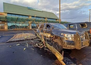 Tornadoes kill four, injure more than a dozen in rural Michigan