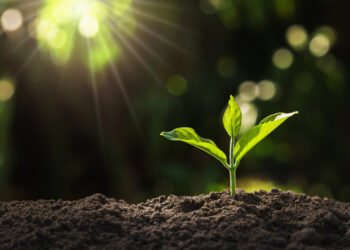 Treville secures $500m for debut capital solutions fund