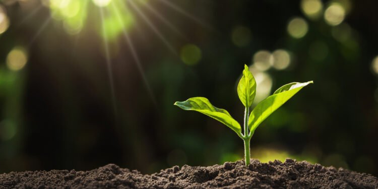 Treville secures $500m for debut capital solutions fund