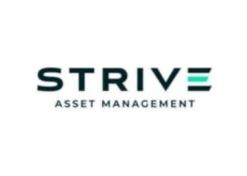 Vivek Ramaswamy’s Strive acquires 317 Bitcoin, moving into top 10 BTC holders