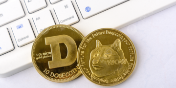 What Does The SpaceX IPO Have To Do With The Dogecoin Price?