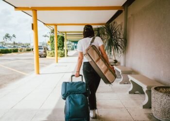 Yeti Promo Codes and Deals: Save 20% on Gear