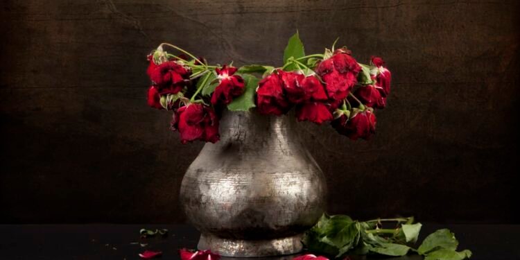 You could be killing your retirement by neglecting your IRA