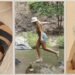 10 Waterproof Sandals for Every Summer Adventure