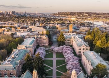 7 Places to See Cherry Blossoms in the US, From Seattle to Brooklyn