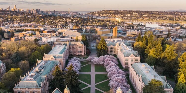 7 Places to See Cherry Blossoms in the US, From Seattle to Brooklyn