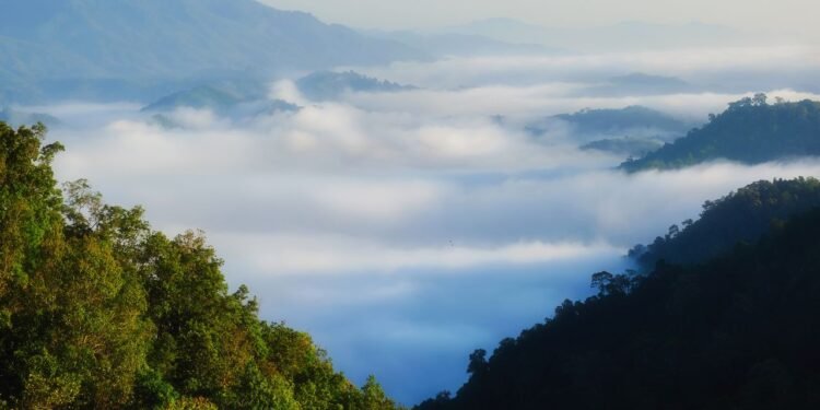 Condé Nast Traveler