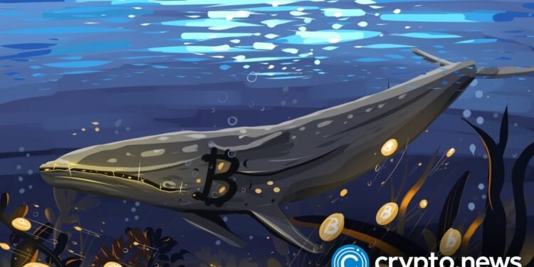 Bitcoin bottom or bull trap? Whales and bears disagree - 1