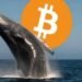 Bitcoin flirts with $72K while a whale bets $80M it won’t last