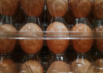 Cal-Maine’s stock falls as DOJ reportedly weighs bigger crackdown on major egg producers