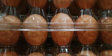 Cal-Maine’s stock falls as DOJ reportedly weighs bigger crackdown on major egg producers