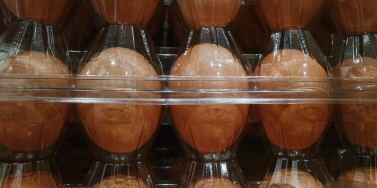 Cal-Maine’s stock falls as DOJ reportedly weighs bigger crackdown on major egg producers