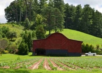 Can I reach FIRE with 7 Kids? – Millennial Revolution