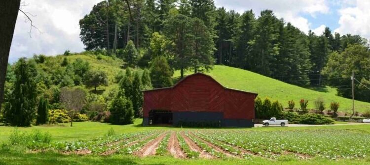 Can I reach FIRE with 7 Kids? – Millennial Revolution