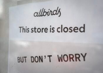 From Allbirds to AI, the meme-stock frenzy is warning you to own this quality ‘antimeme’ portfolio instead