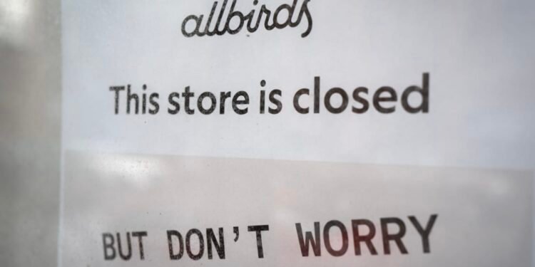 From Allbirds to AI, the meme-stock frenzy is warning you to own this quality ‘antimeme’ portfolio instead