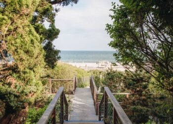 Hamptons Itinerary: A Bittersweet Homecoming on a Wellness Weekend With My Son