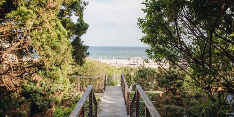 Hamptons Itinerary: A Bittersweet Homecoming on a Wellness Weekend With My Son