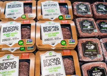 How Beyond Meat sank from a $14 billion plant-based protein powerhouse to a penny stock