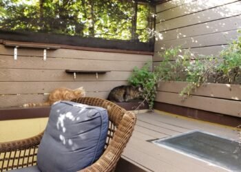 I Used This DIY Kit to Screen In My Deck, and It Was a Brilliant Decision