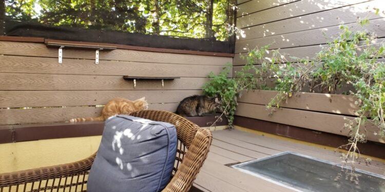 I Used This DIY Kit to Screen In My Deck, and It Was a Brilliant Decision