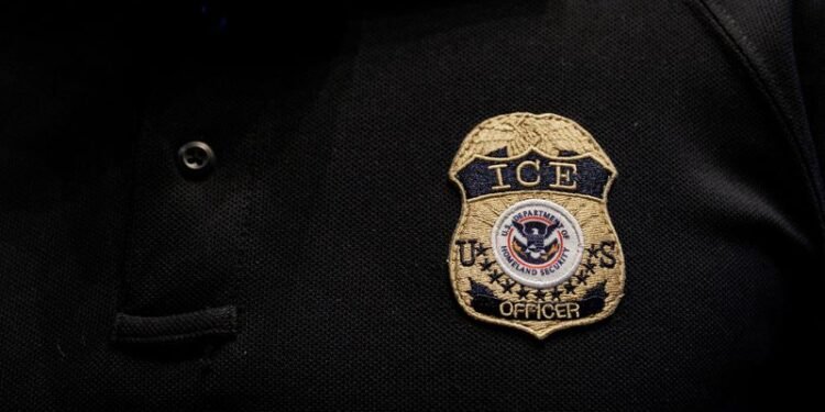 ICE launches new effort to uncover US ‘birth tourism schemes’