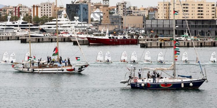 Israel intercepts Gaza aid ships in international waters, organisers say