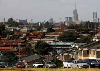 Kenya economic growth steady at 4.6% in 2025, data shows