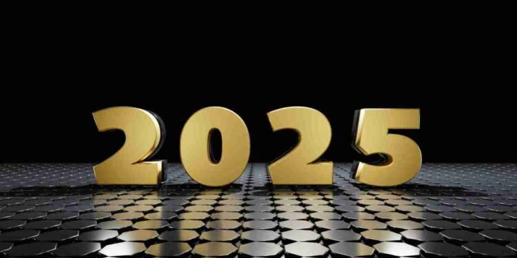 Our 2025 Portfolio – Millennial Revolution