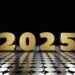 Our 2025 Portfolio – Millennial Revolution