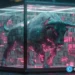 PI outshines major altcoins as crypto market nears $2.7T