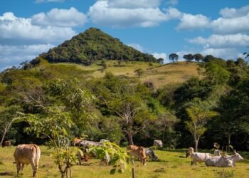 Paraguay’s New Golden Visa is a $150,000 Fast Track to Permanent Residency